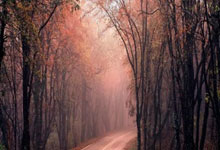 旺财28官网:队报预测法国队首发:奥利塞、于帕、特奥、卡马文加出战.